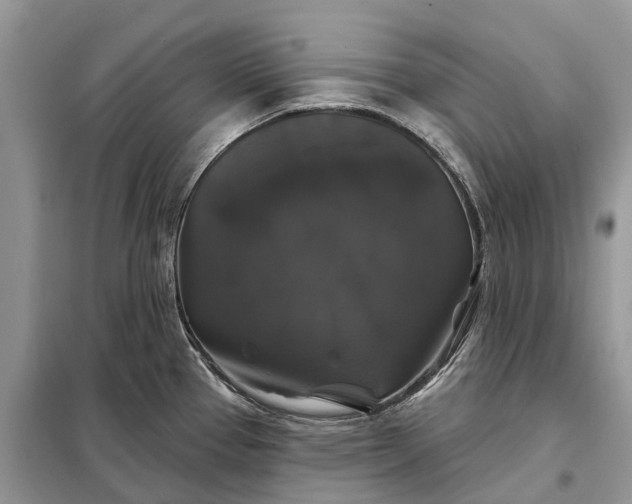 X0000097991337200804071141