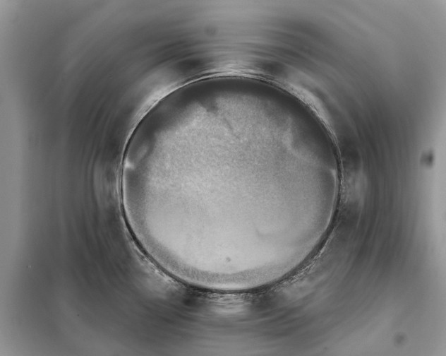X0000097991338200804071141
