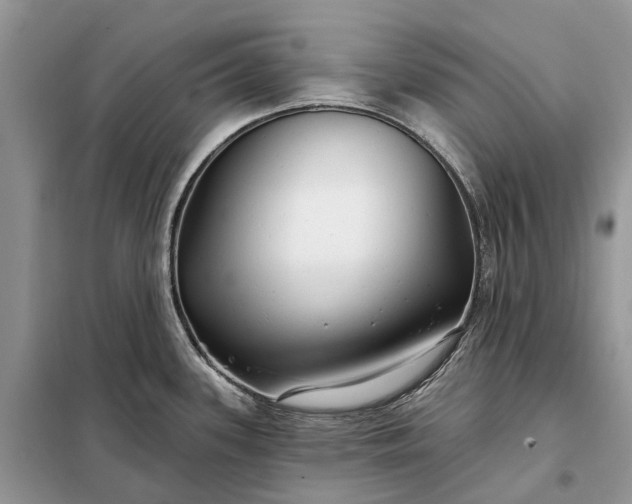 X0000097991339200804071141