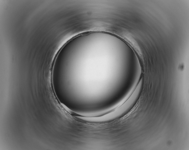 X0000097991340200804071141