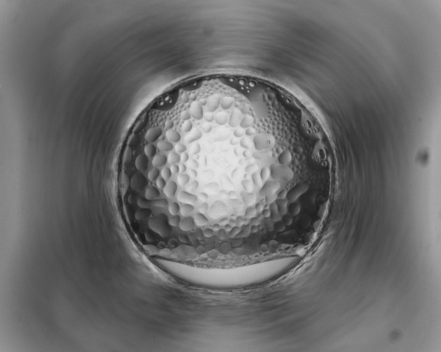 X0000097991341200804071141