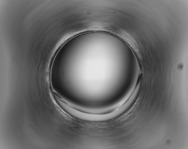 X0000097991342200804071141