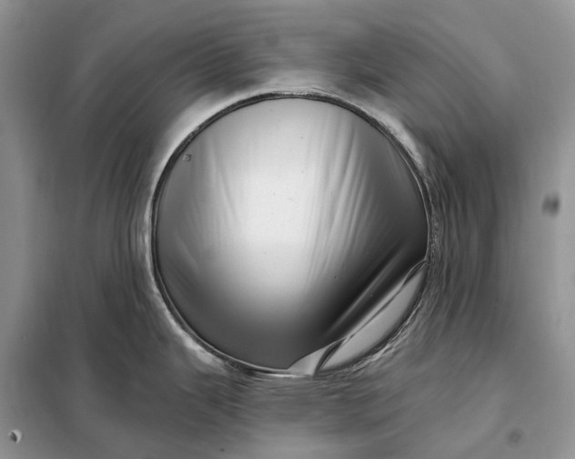 X0000097991343200804071141