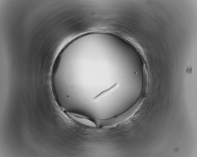 X0000097991344200804071141