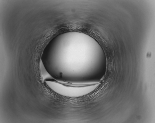 X0000097991345200804071140