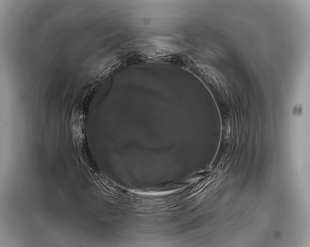 X0000097991346200804071140
