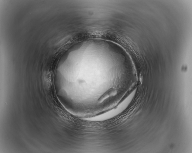 X0000097991347200804071140