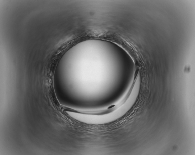X0000097991349200804071140