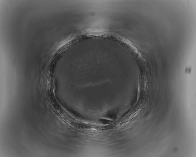 X0000097991350200804071140