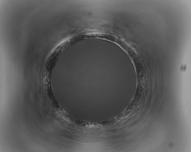 X0000097991351200804071140