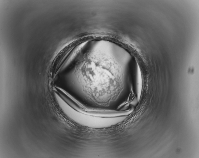 X0000097991352200804071140