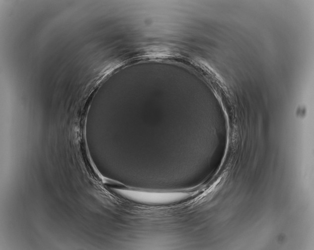 X0000097991353200804071140