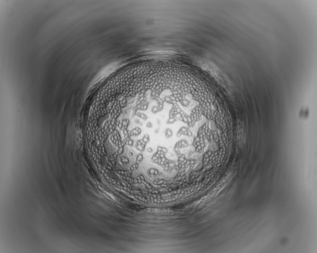 X0000097991354200804071140