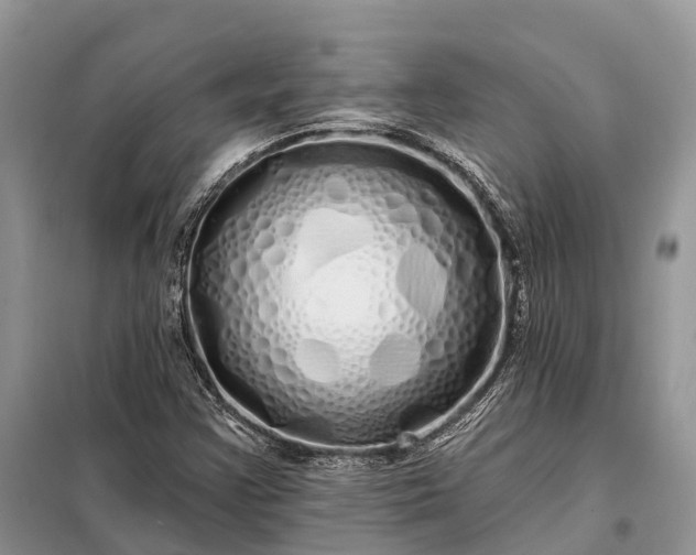 X0000097991355200804071140
