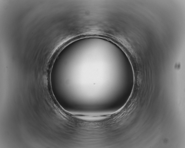 X0000097991356200804071140