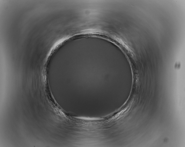 X0000097991358200804071140