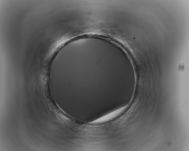 X0000097991359200804071140