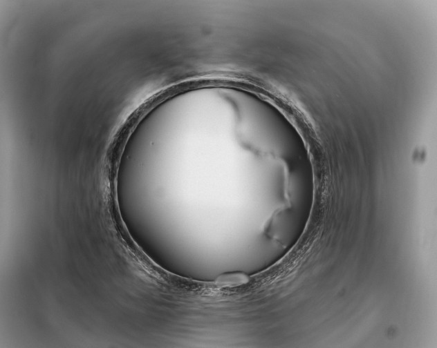 X0000097991360200804071140