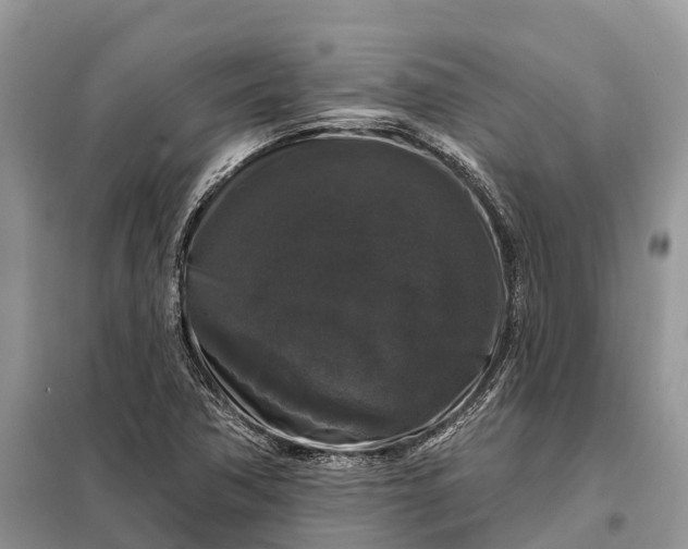 X0000097991362200804071140