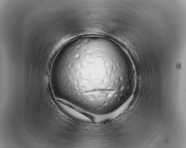 X0000097991363200804071140