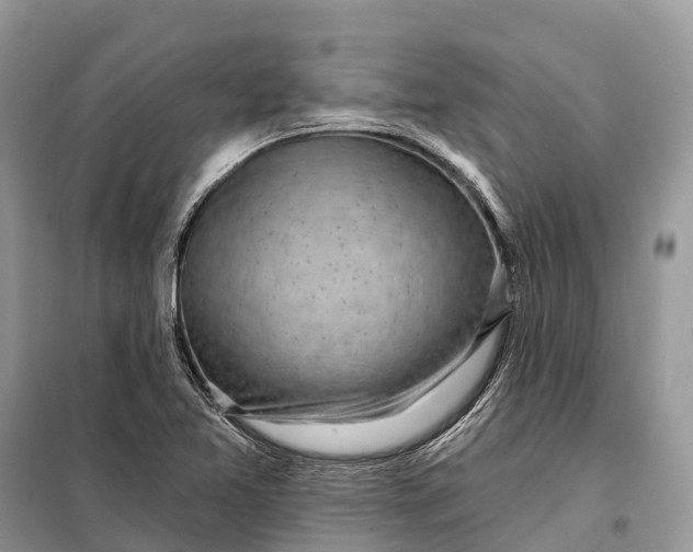 X0000097991365200804071140