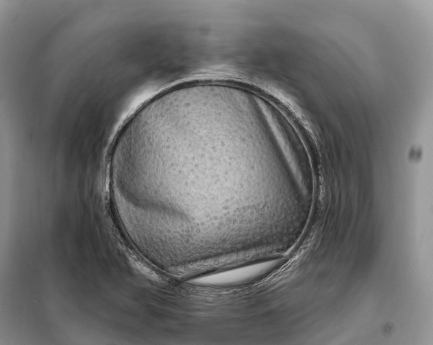 X0000097991366200804071140