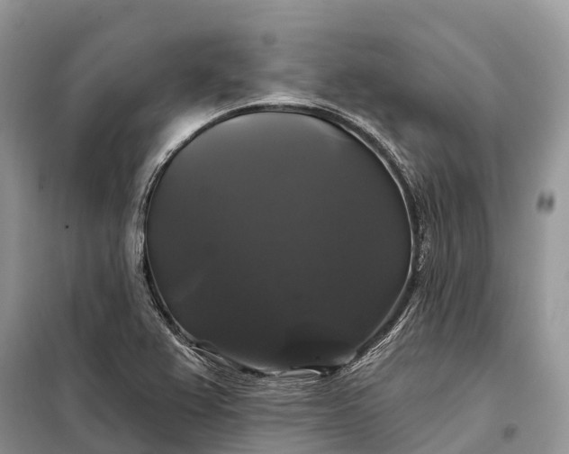 X0000097991367200804071140