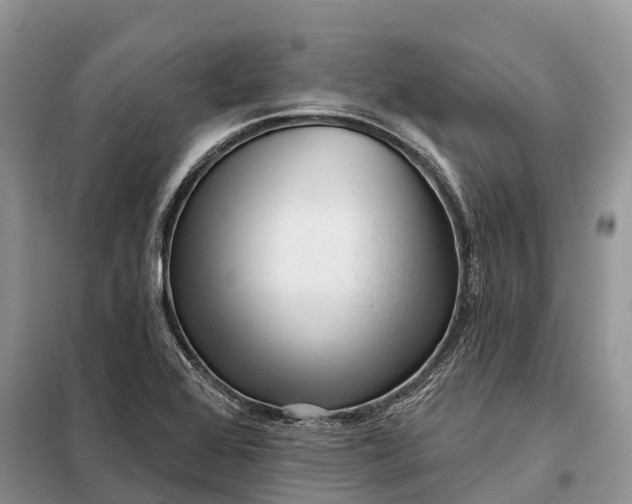 X0000097991368200804071140