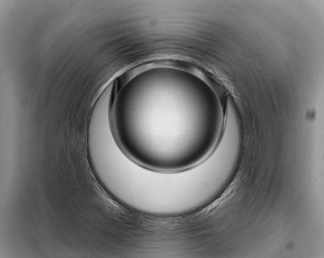 X0000097991369200804071140