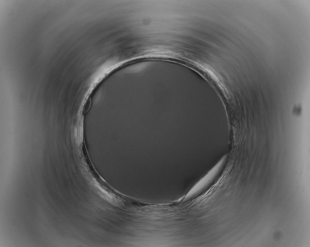 X0000097991371200804071140