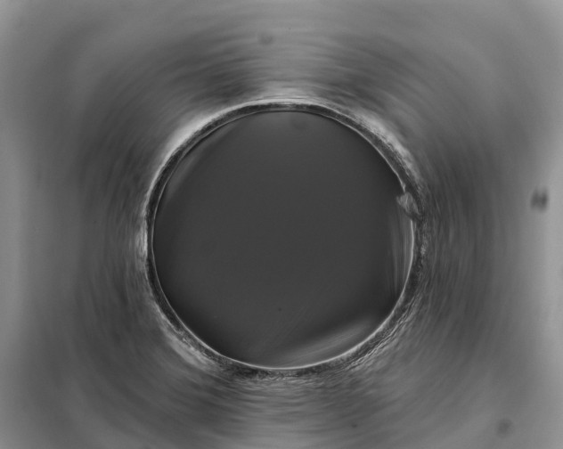 X0000097991372200804071140