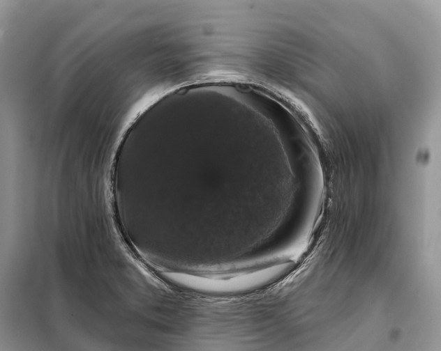 X0000097991373200804071140