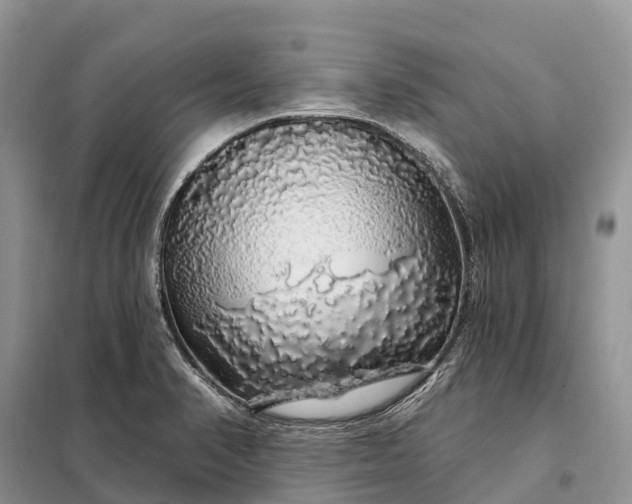 X0000097991374200804071140