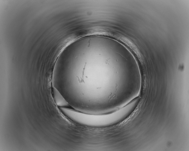 X0000097991377200804071140