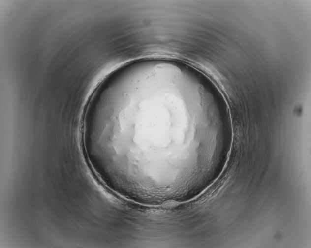 X0000097991379200804071140