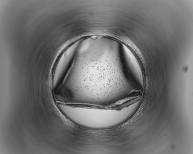X0000097991380200804071140