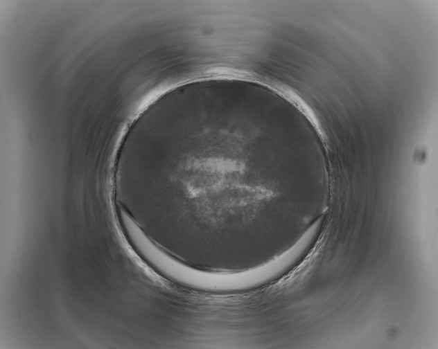 X0000097991381200804071140