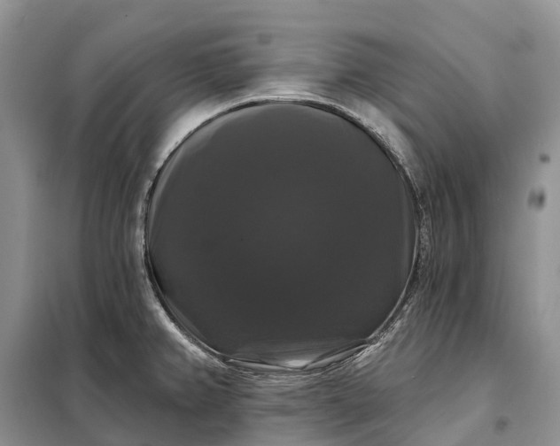 X0000097991382200804071140