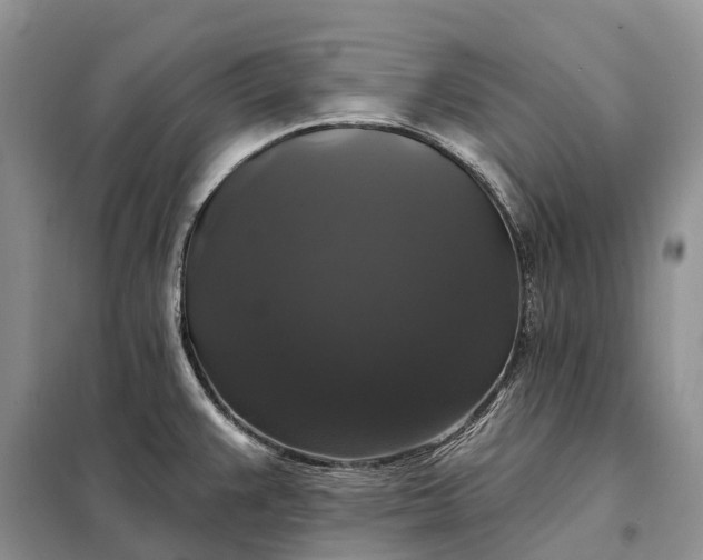 X0000097991383200804071140