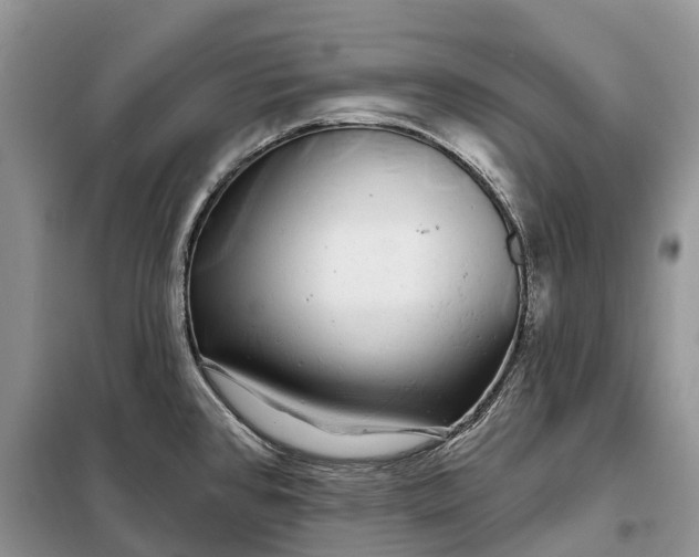 X0000097991384200804071140