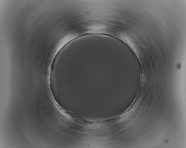 X0000097991386200804071140