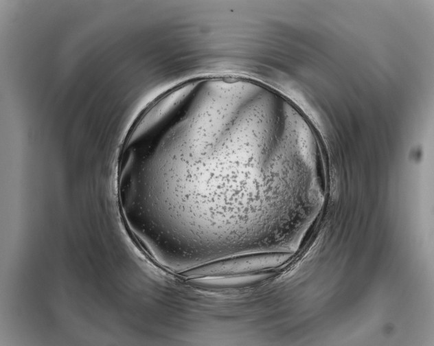 X0000097991388200804071140
