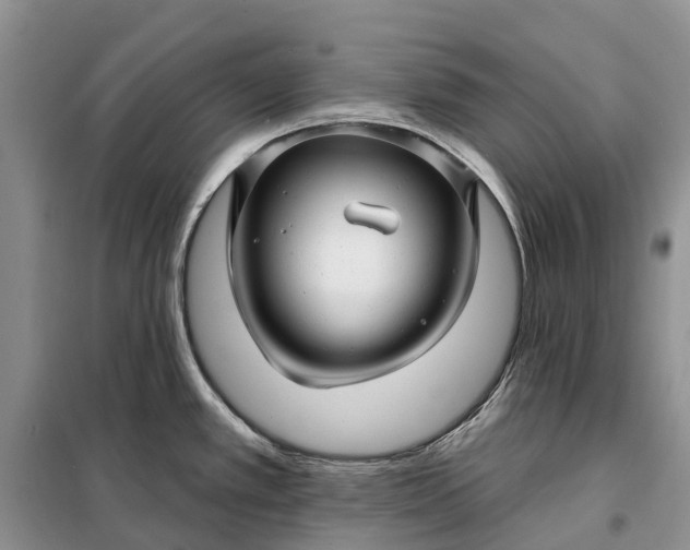 X0000097991389200804071140