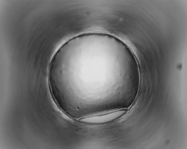X0000097991390200804071140