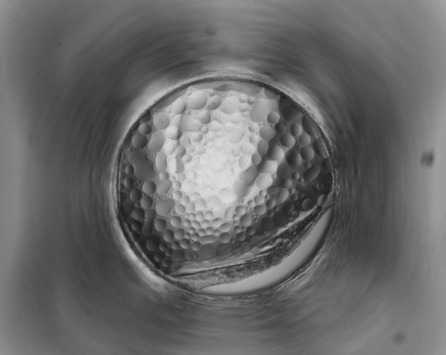 X0000097991391200804071140
