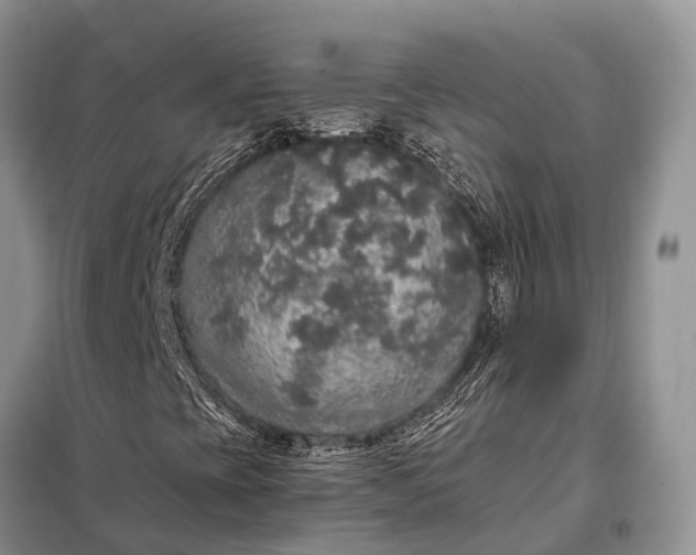 X0000097991393200804071139