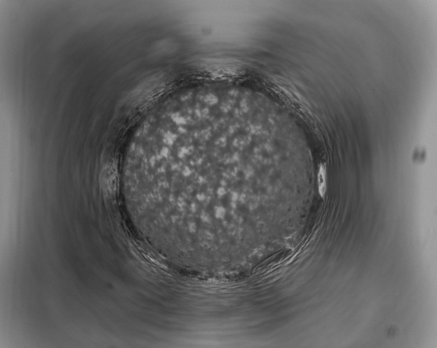 X0000097991395200804071139