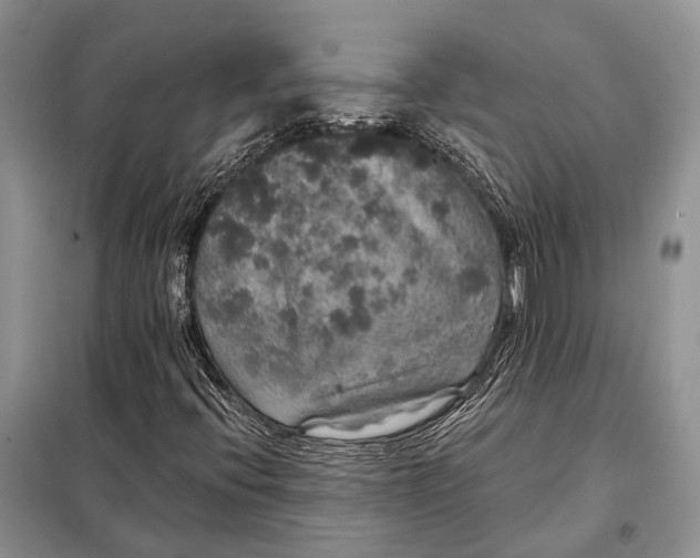 X0000097991396200804071139