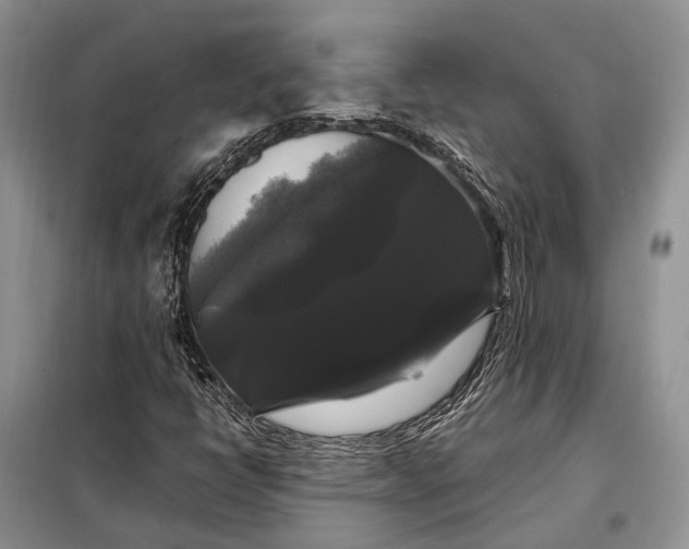 X0000097991398200804071139