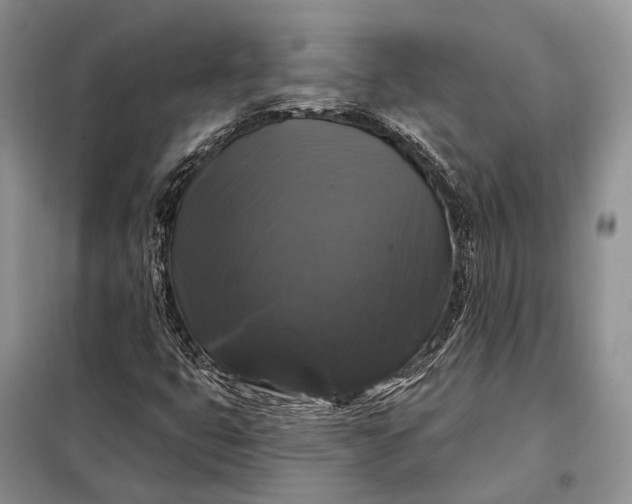 X0000097991399200804071139